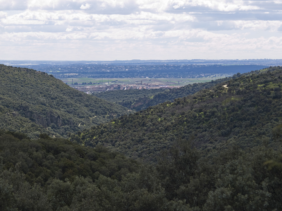 La Cuenca de Madrid 